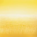 Champ de blé - huile sur toile - 220 x 220 cm - 2021