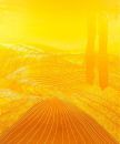 Champ de blé avec cyprès - huile sur toile - 180 x 220 cm - 2007