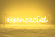 Essenceciel - néon - 80 x 20 x 8 cm - 2014