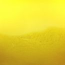 Désert d‘Atacama - huile sur toile - 200 x 200 cm - 2012