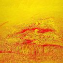 Champ de blé - huile sur toile - 150 x 150 cm - 2003